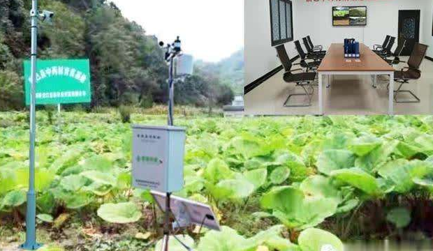 中藥材種植可追溯系統(tǒng) 中藥材種植可追溯管理系統(tǒng)集成廠商
