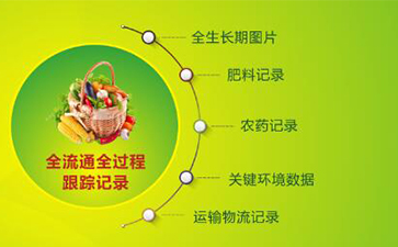 堅(jiān)果有了追溯系統(tǒng)，讓生產(chǎn)過程透明化